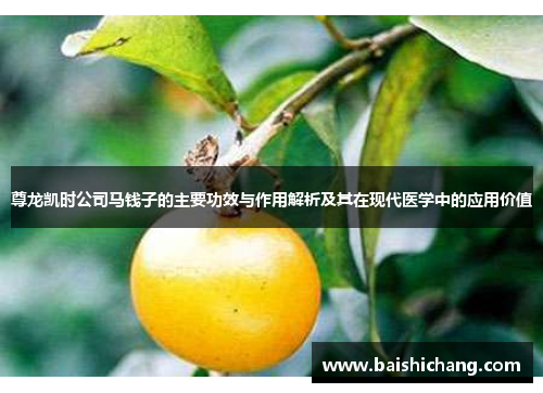 尊龙凯时公司马钱子的主要功效与作用解析及其在现代医学中的应用价值